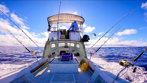 SOLO 30 Miles Offshore! I take my catch to the FISH AUCTION!