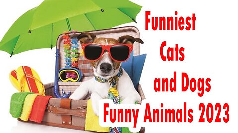 Funniest Cats and Dogs 😺🐶 Funny Animals 2023 😍