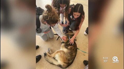 Spanish River Community High School uses therapy dog to improve students' mental health