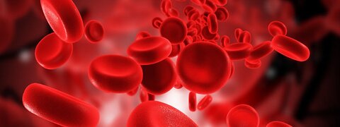 Do this to purify your blood naturally- why blood is not pure?