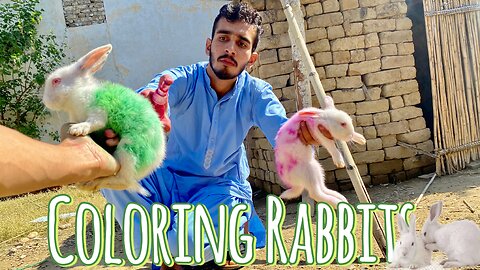 Coloring My baby Rabbits 🐇