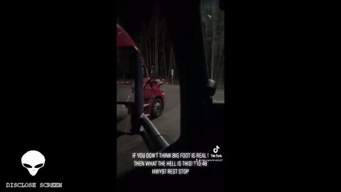 Truck driver records what he believes was the chilling cry's of a Bigfoot while parked at rest stop.
