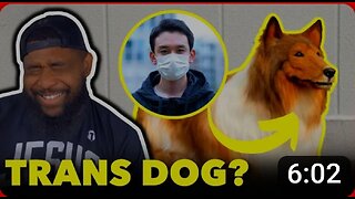 Man SPENDS 16000 To TRANSITION INTO A DOG