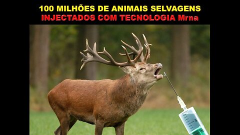 100 MILHÕES DE ANIMAIS SELVAGENS INJECTADOS COM TECNOLOGIA mRNA