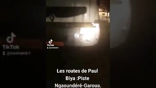 LES ROUTES D PAUL BIYA ROUTE NGAOUNDÉRÉ-GAROUA NO COMMENT Flore de Lille Veuve Joyeuse Abeille Noire