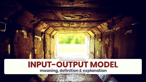 What is INPUT-OUTPUT MODEL?