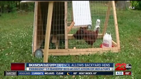Bakersfield City Council to allow backyard hens