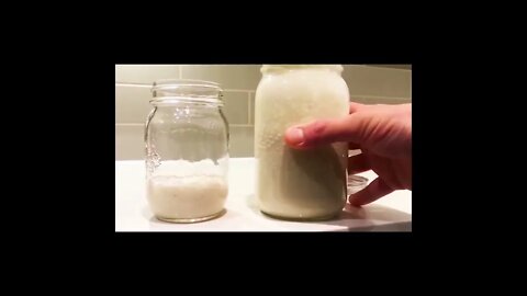 Make a Sourdough Starter | THE EASY WAY