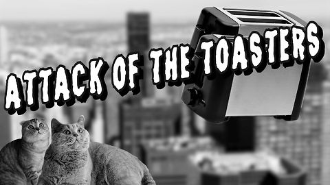 Cats Face The Attack Of The Toasters