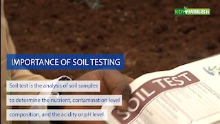 The Importance of Soil Testing - Farm Kenya