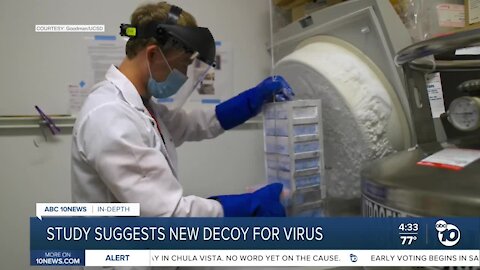 UCSD study suggests new decoy for virus