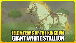 Zelda Tears of the Kingdom - Giant White Stallion Location (Unlimited Stamina Horse)