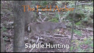 BOWHUNTING: Saddle Deer Hunting