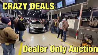 Crazy Bids at The Dealer Only Auction, Cheap Benz, Cheap Exotics, Over Priced Trucks