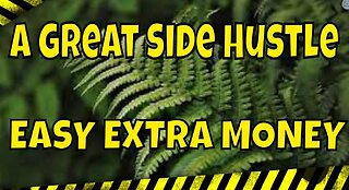Growing Ferns to Extra Money #howto #money #garden