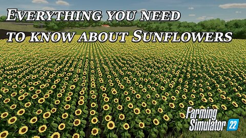 Everything you need to know about Sunflowers in Farming Simulator 22
