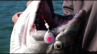 We CHANGED One Thing That Led To INSANE SALMON FISHING Action!!