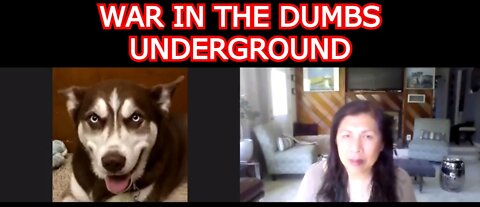 GENE DECODE REUPLOAD: WAR IN THE DUMBS UNDERGROUND