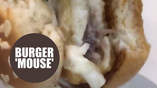 Teen reckons she found a dead MOUSE in her McDonald's burger