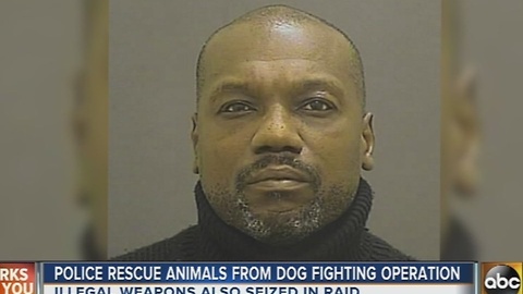 Baltimore Police rescue pitbulls from alleged dog fighting operation