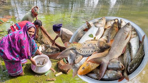 What is the wonderful sight of fishing in the canal bill river pond of Bangladesh