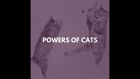 Powers of Cats # 001