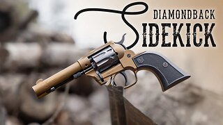 Diamondback Sidekick 22LR/22 Mag Pistol!