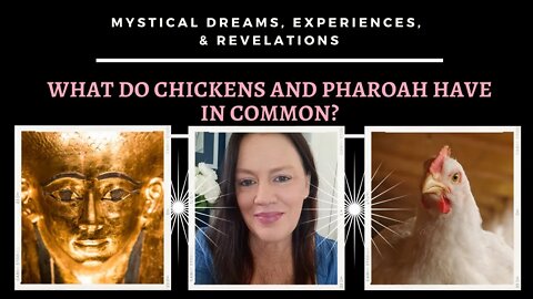 What do Chickens and Pharaoh Have in Common