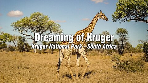 Dreaming of Visiting Kruger National Park - a Photo Montage