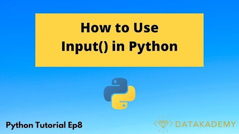 How to Use Input in Python | Python Tutorial Ep8