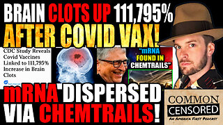 VAX AFTERMATH REPORT: Brain Clots Up 111,795% Since Covid Vax, Pilot Whistleblower: mRNA Being Dispersed By Chemtrails! Moderna Secret Agreement With Government, How The Vaccine Is Killing People