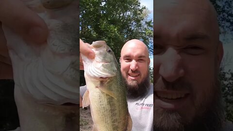 Creek Largemouth Bass