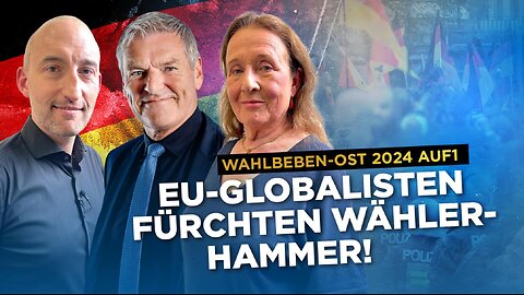 Die EU-Globalisten fürchten den Wähler-Hammer!