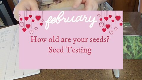 How Old Are Your Seeds? ~ Seed Testing