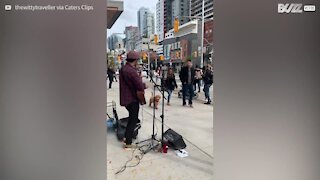 Ce chien apprécie les artistes de rue !