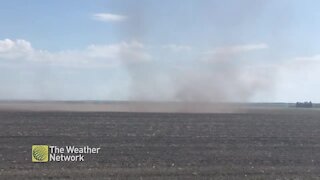 Large dust devil takes over Manitoba field