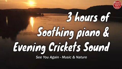 Soothing music with piano and crickets sound for 3 hours, relaxation music for work & study