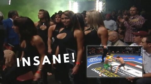 Incredible Knockout Sports Moment!