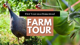 Full Farm Tour | First Year Homestead