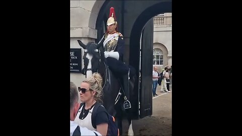 3 in one videos from horse guards #horseguardsparade