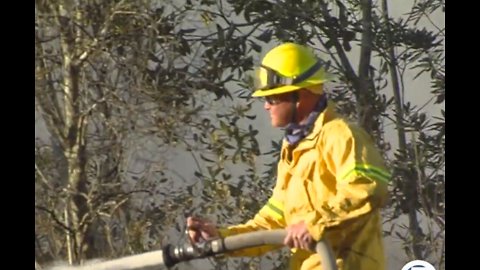 Firefighters fight largest wildfire in South Florida this year