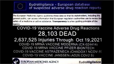 IRISH VAXXINE REGULATORS LAUGH, LIE AND SLAM DOWN PHONE WHEN ASKED ABOUT SLAUGHTER THEY ARE CAUSING