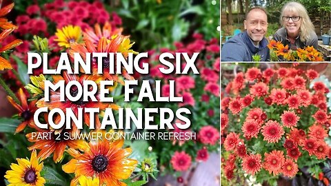🍂 Planting Fall Flower Pots and Planting Tips (Part 2) 🍂