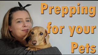 Prepping for your Pets ~ What we keep on hand for Sort & Long Term Emergencies