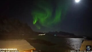 Northern Lights-Lofoten, Norway 🌟 12/11/22 21:49