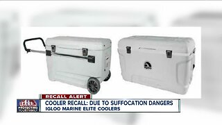 ALERT: Cooler recalled due to entrapment, suffocation risk