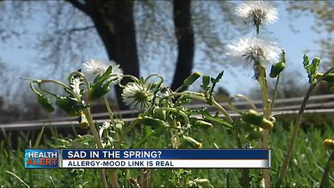Ask Dr. Nandi: Sad in the spring? Allergy-mood link is real