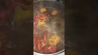 Crawfish 🦞 boil