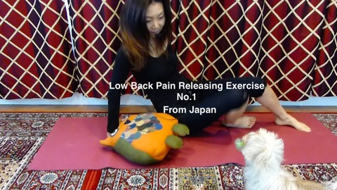 Low Back Pain Releasing Exercise 01 - Acute pain