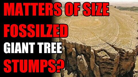 Matters of Size: Giant Trees?